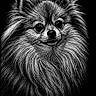 animal, artwork, black_and_white, dark_background, detailed, dog, ears, eyes, face, fluffy, fur, illustration, monochrome, muzzle, pet, portrait, signature, sketch, texture, whiskers
