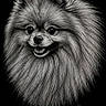 animal, artwork, black_background, canine, cute, detailed, dog, drawing, face, fluffy, fur, happy, illustration, monochrome, name, pet, portrait, signature, sketch, smiling
