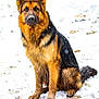 animal, black, brown, canine, cold, dog, ears, face, fur, german_shepherd, mammal, nature, outdoor, paw, pet, portrait, sitting, snow, snowflakes, winter