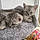 Tilly And Milly