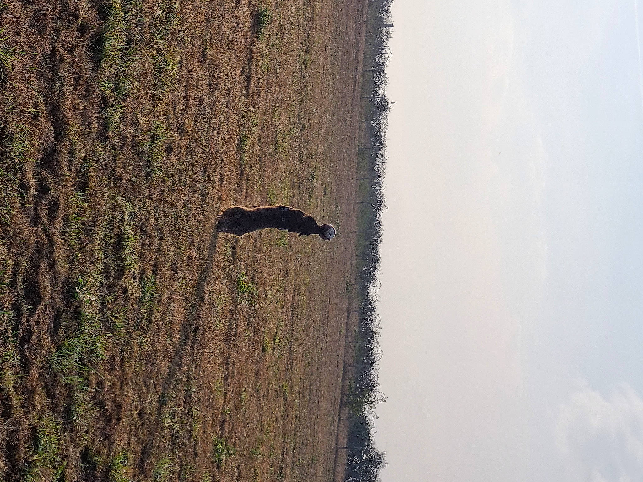 Jazzy participe au concours pour gagner de l'argent avec cette photo : bedrock, bird, cloud, grass, landscape, plant, rock, shadow, sky, soil, tints_and_shades, tree, trunk, water, wildlife, wood