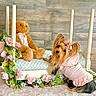 dog, toy, teddy_bear, bed, flowers, pink_clothing, bow, fur, cute, indoor, wooden_wall, plush, small_dog, decor, fabric, animal, pet, posing, soft, cozy