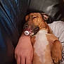 Roxy participe au concours pour gagner de l'argent avec cette photo : beard, chest, chin, comfort, elbow, eye, eyebrow, finger, gesture, human_body, jaw, joint, leg, mouth, nail, neck, skin, stomach, thigh, thumb