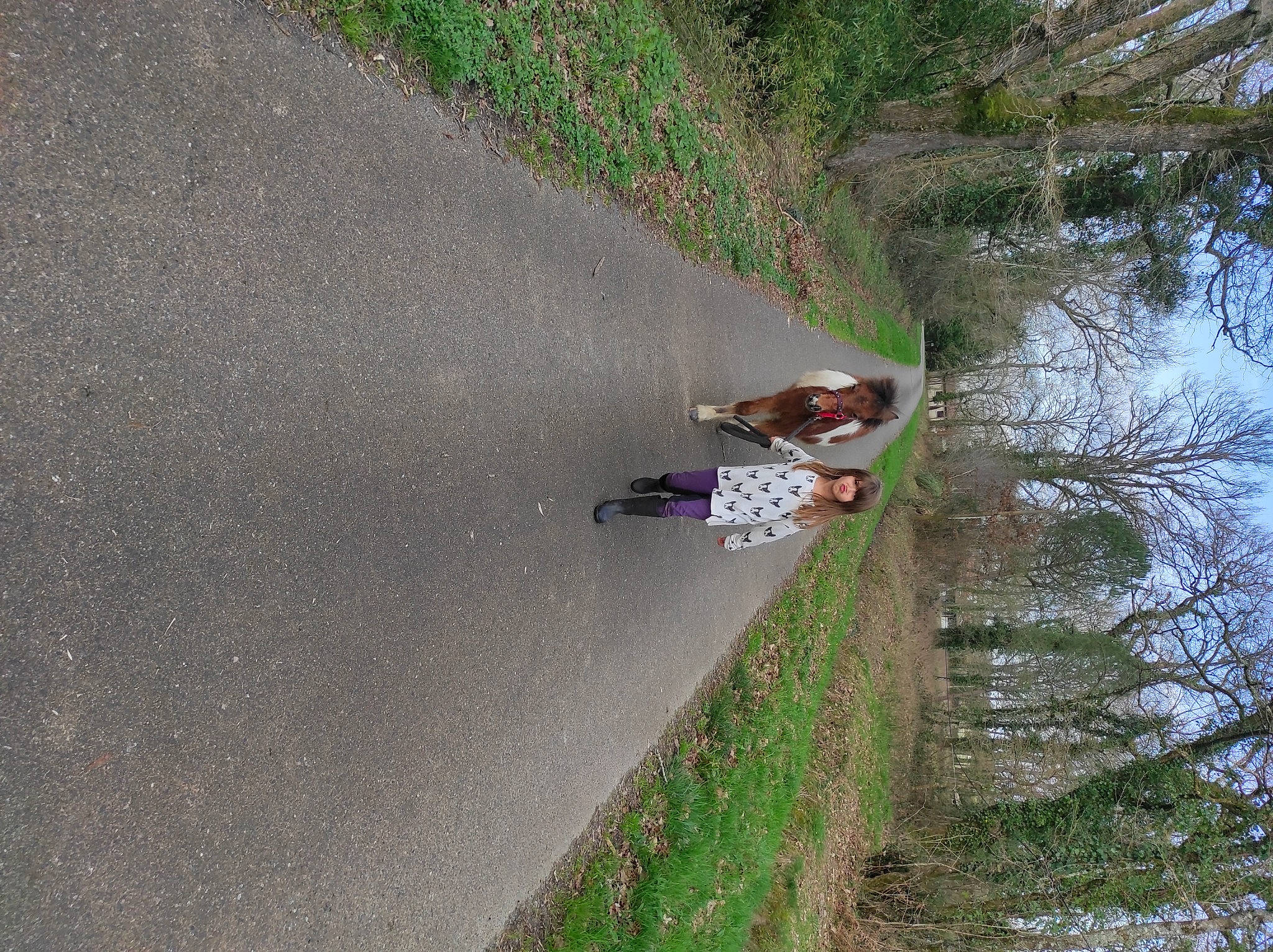 Kelia a rejoint le concours — aidez-le/la à gagner de superbes lots ! asphalt, bank, canal, grass, lake, landscape, person, plant, recreation, reflection, reservoir, road, road_surface, shadow, shrub, slope, soil, tree, under_exposed, water