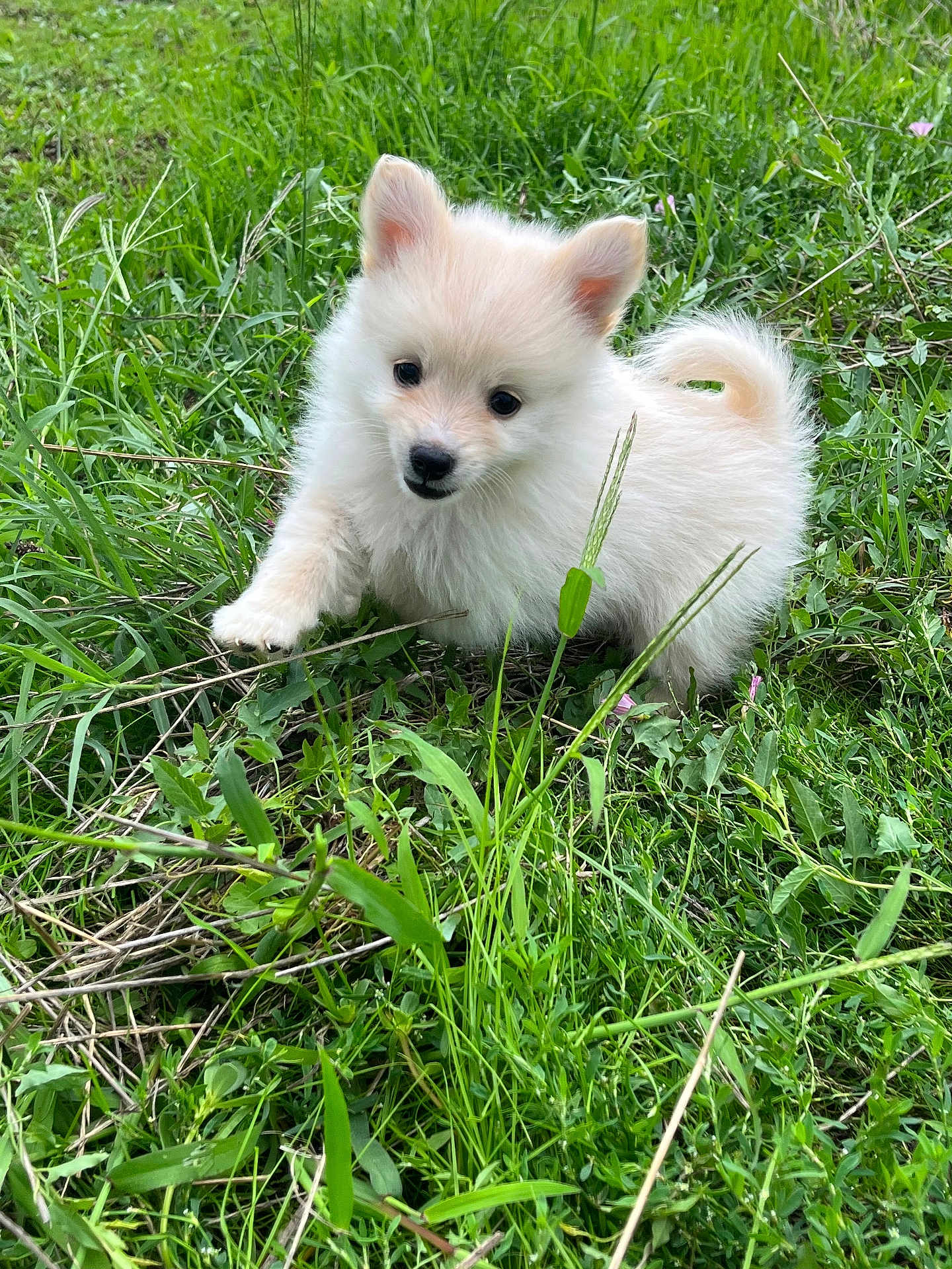 Alaska