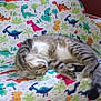 cat, tabby_cat, sleeping, couch, childrens_furniture, dinosaur_pattern, indoor, carpet, relaxing, pet, animal, feline, cozy, resting, furniture, soft, colorful, pattern, home, napping