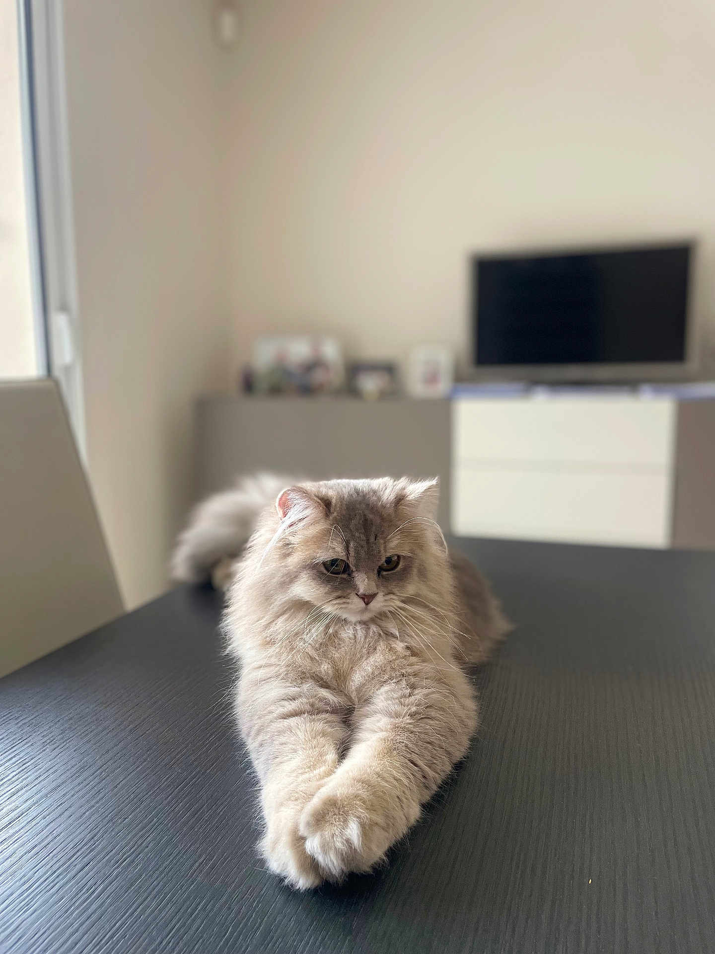 Winnie