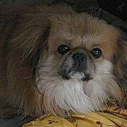 Bordy participe au concours pour gagner de l'argent avec cette photo :