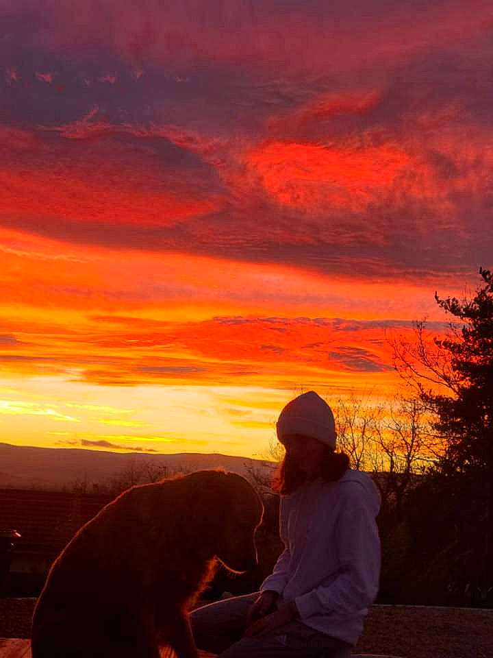 Pacha a rejoint le concours — aidez-le/la à gagner de superbes lots ! afterglow, atmosphere, atmospheric_phenomenon, cloud, dusk, ecoregion, flash_photography, happy, heat, horizon, landscape, natural_landscape, orange, people_in_nature, red_sky_at_morning, sky, sunlight, sunrise, sunset, tree