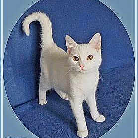 Flocki joined the competition — help win amazing prizes!