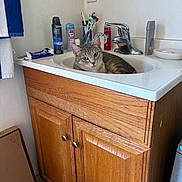Moon joined the competition — help win amazing prizes! bathroom, cabinet, cat, cleaning_products, cup, curious, deodorant, domestic_cat, faucet, gray_cat, indoor, pet, relaxed, sink, soap, tile_floor, toiletries, toothbrushes, towel, wooden_cabinet