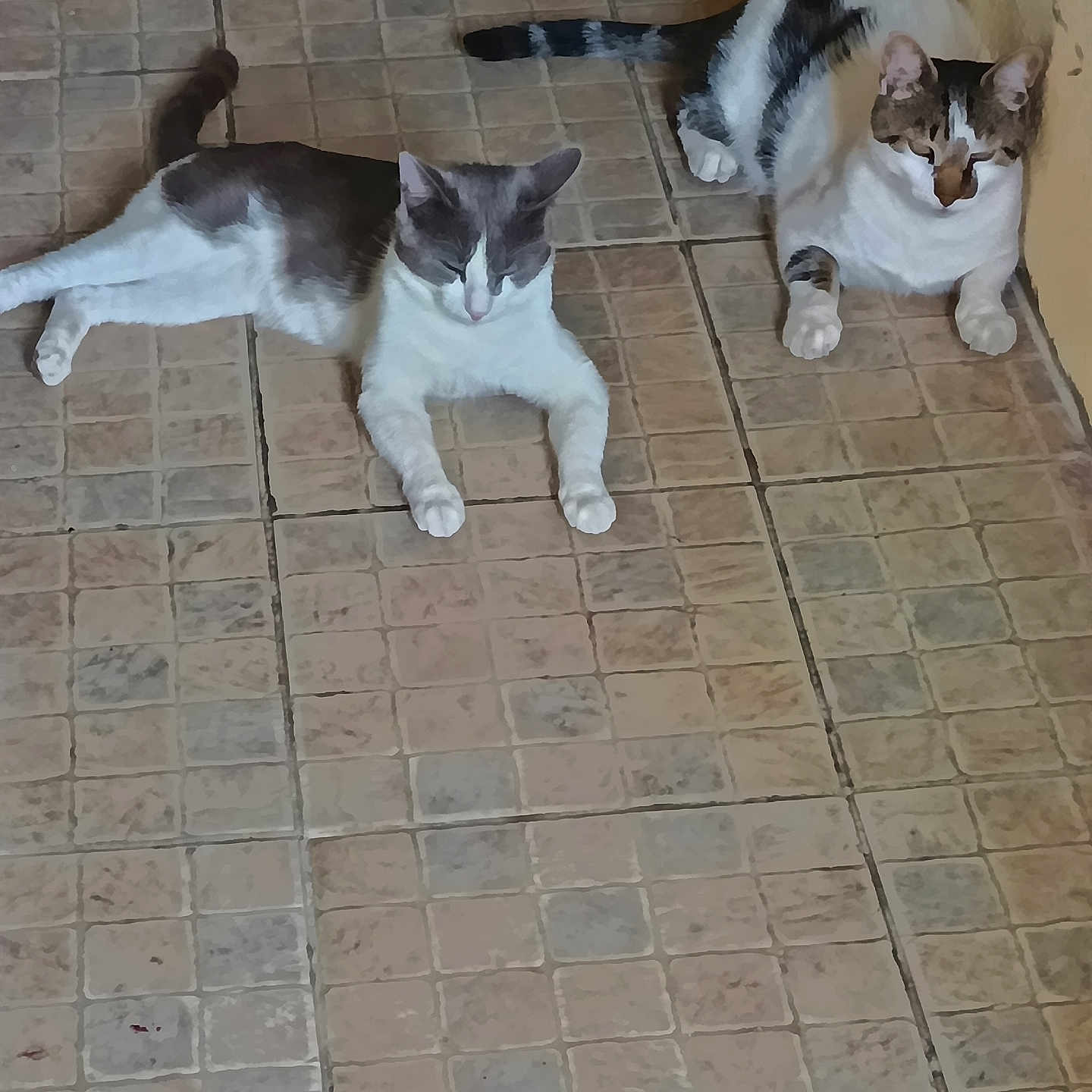 Oscar