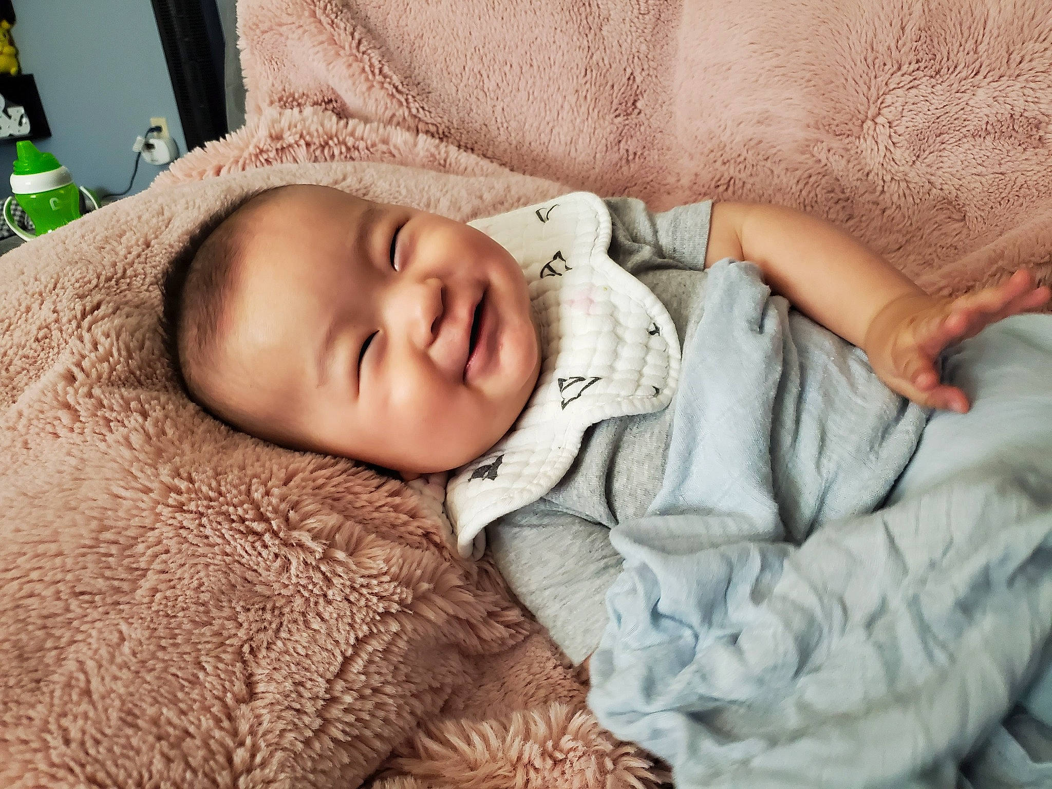 Hamilton is registered to the contest to win money with this photo: baby, baby_toddler_clothing, cheek, child, comfort, eye, fur, grass, happy, head, linens, nose, person, portrait_photography, skin, sleeve, smile, textile, toddler, water_bottle