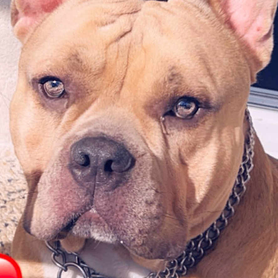 Ciro
