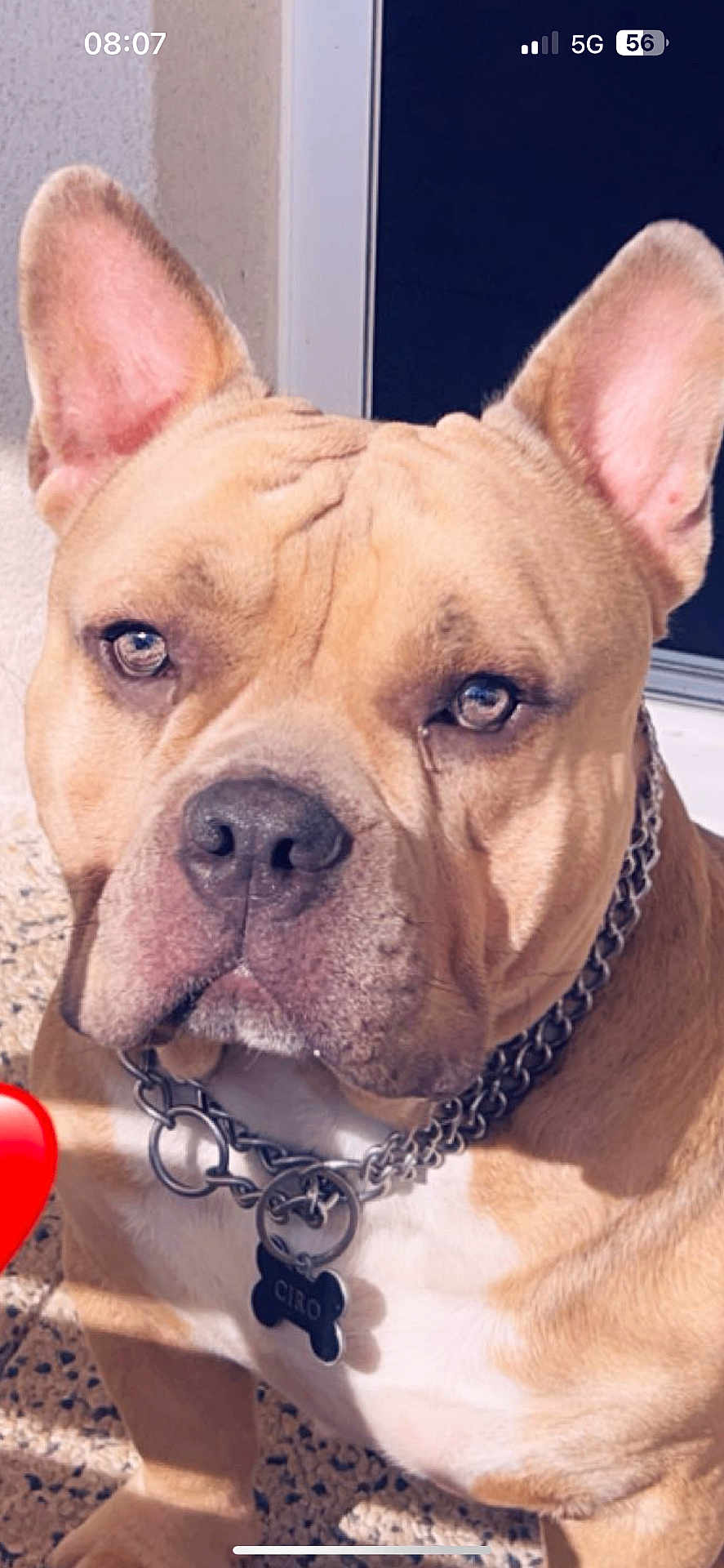Ciro