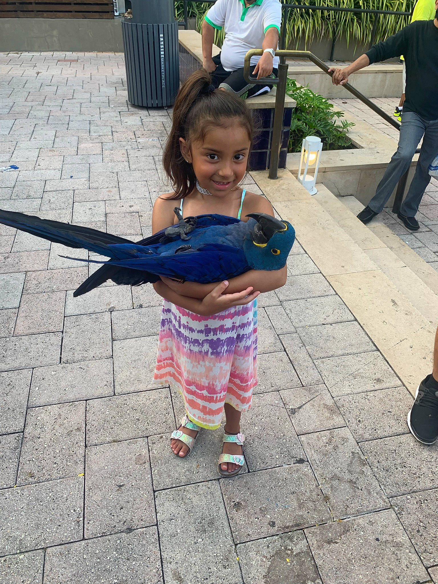 Ailani is registered to the contest to win money with this photo: child, event, flooring, footwear, joy, leg, leisure, luggage_and_bags, pattern, pedestrian, person, plant, public_space, road_surface, shoe, sidewalk, sneakers, street, street_fashion, toddler