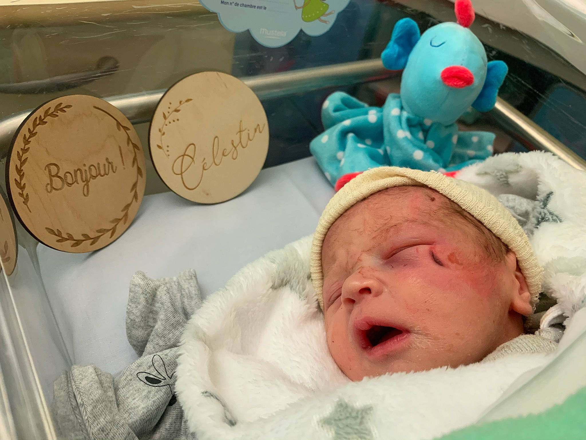 Célestin participe au concours pour gagner de l'argent avec cette photo : baby, baby_products, baby_sleeping, baby_toys, bedtime, cheek, comfort, humour, linens, person, plush, stuffed_toy, toy