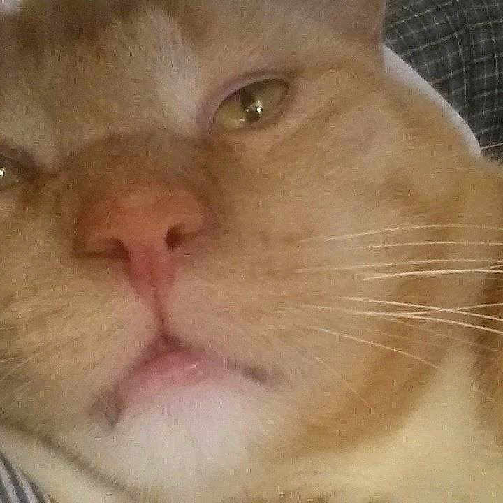 Tigger Molina joined the competition — help win amazing prizes!