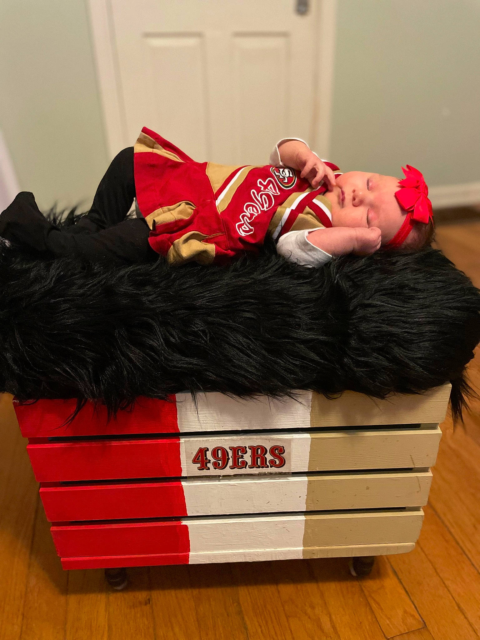 Penelope is registered to the contest to win money with this photo: box, carmine, christmas, comfort, event, flooring, font, fur, hardwood, holiday, human_leg, knee, lap, leg, linens, person, rectangle, room, sitting, thigh