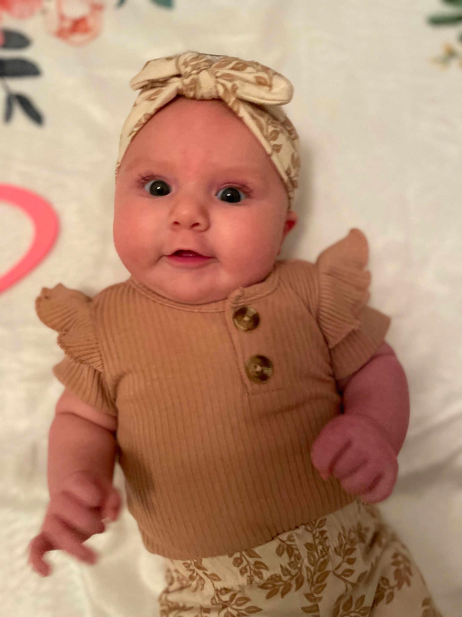 Penelope