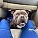 Rocco
