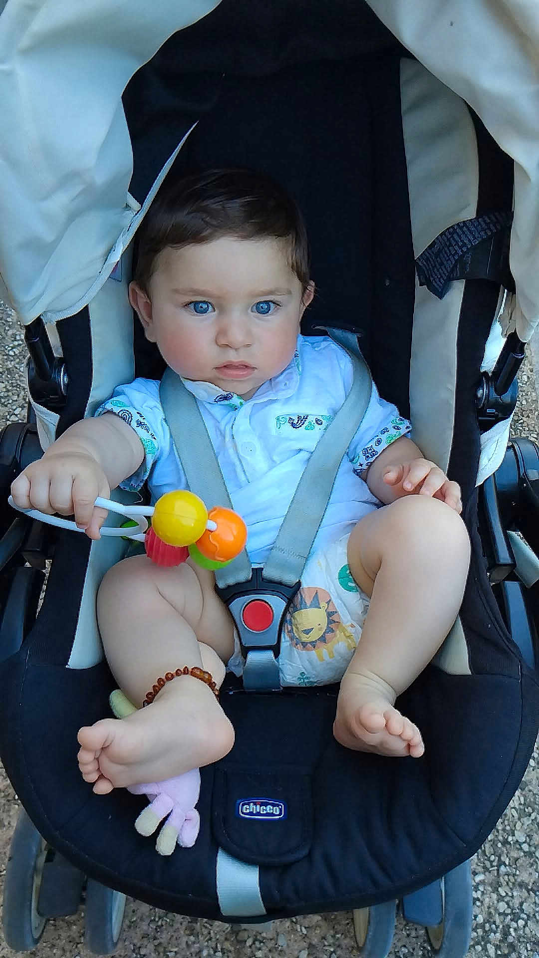 Livio participe au concours pour gagner de l'argent avec cette photo : baby, stroller, toy, blue_eyes, white_shirt, diaper, lion_pattern, bracelet, outdoor, curious, child, person, footwear, seatbelt, candid, infant, hand, legs, grip, chicco