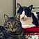 Poniyo Et Oreo