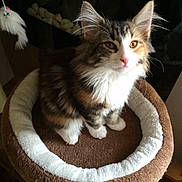 Lili Rose participe au concours pour gagner de l'argent avec cette photo :