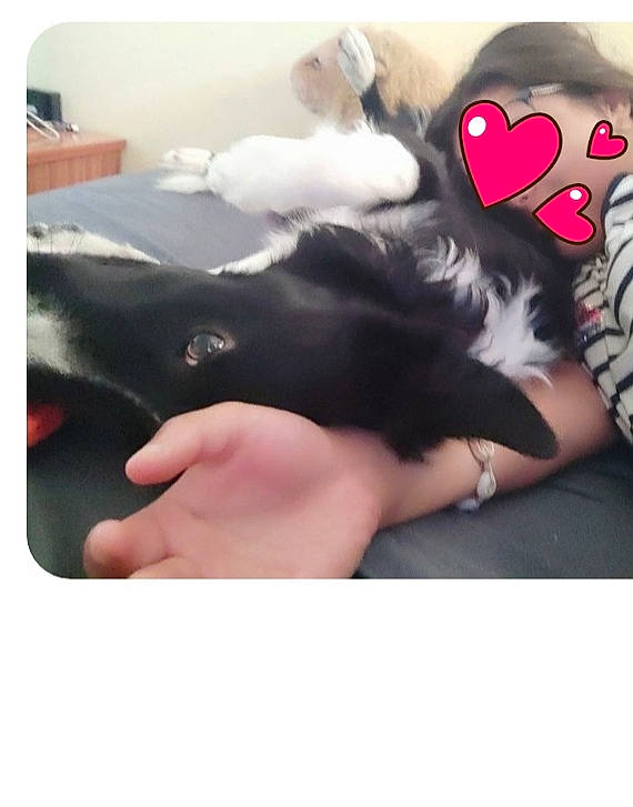 Aslan a rejoint le concours — aidez-le/la à gagner de superbes lots ! carmine, comfort, companion_dog, fashion_accessory, felidae, flesh, foot, fur, gesture, human_leg, linens, magenta, nail, paw, pink, sleeve, sportswear, thigh, thumb, wrist