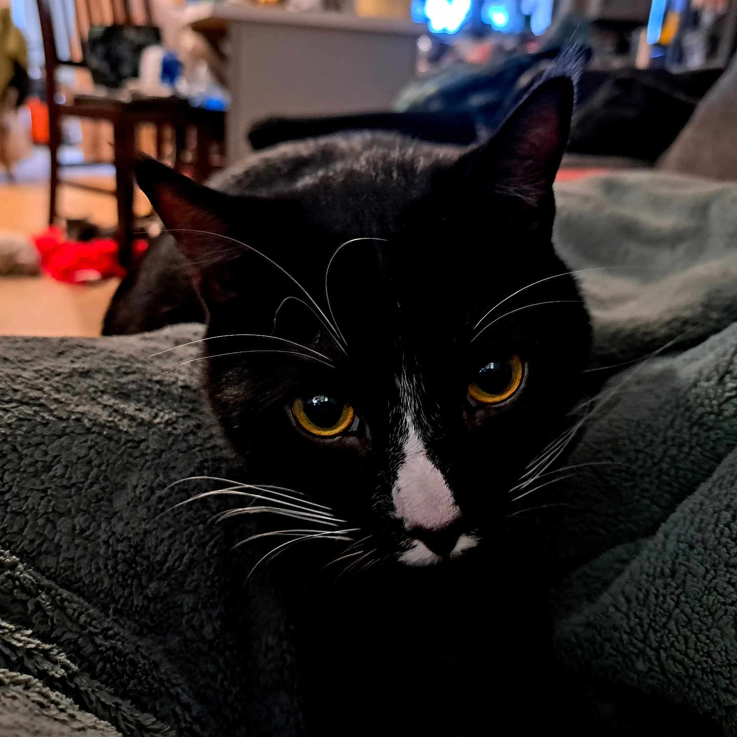 Megatron