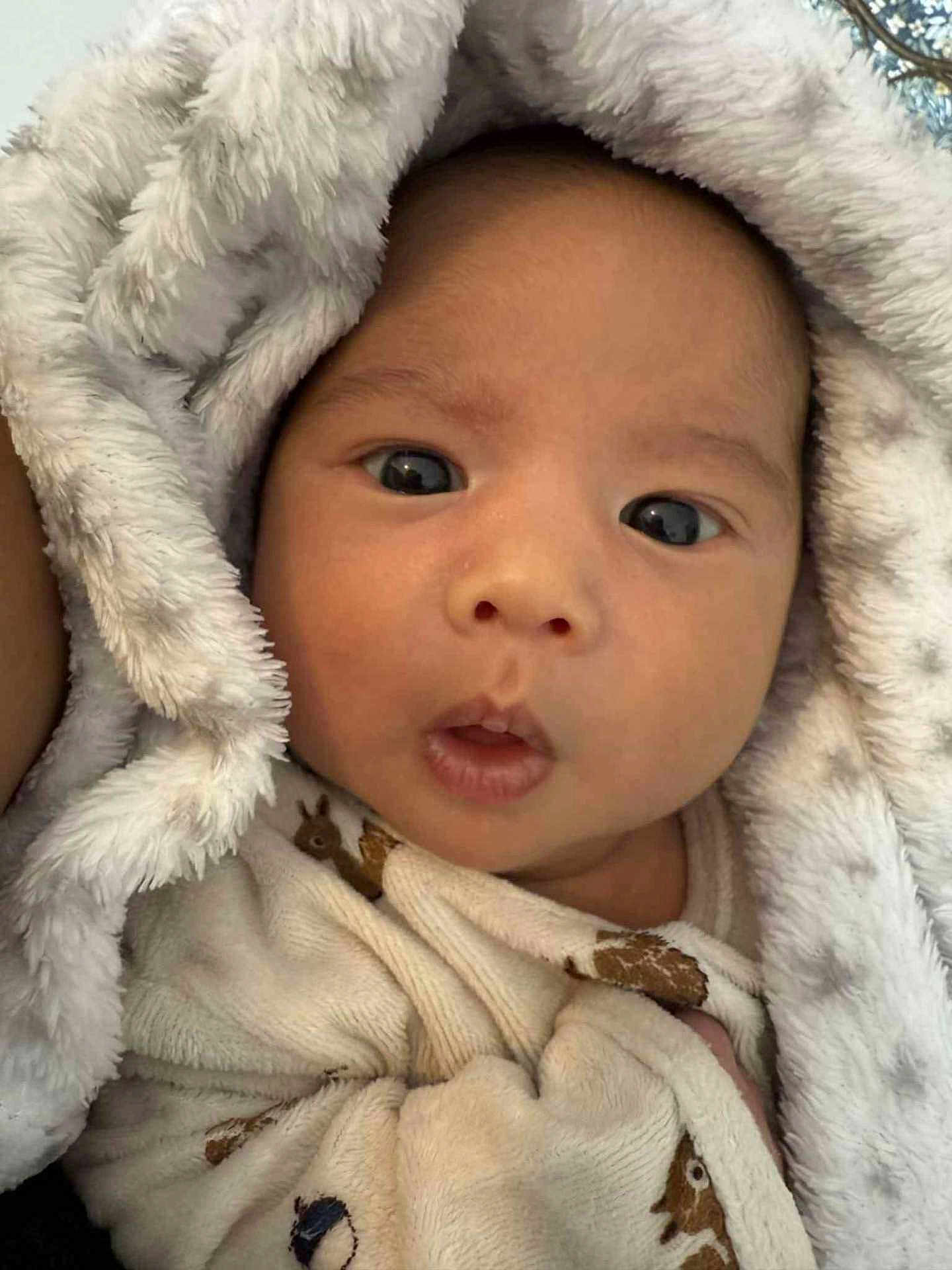 Hadrien participe au concours pour gagner de l'argent avec cette photo : baby, infant, face, blanket, cozy, wrapped, wide_eyes, curious, cute, soft_texture, warm, close_up, child, newborn, expression, indoors, comfort, sleepwear, adorable, portrait