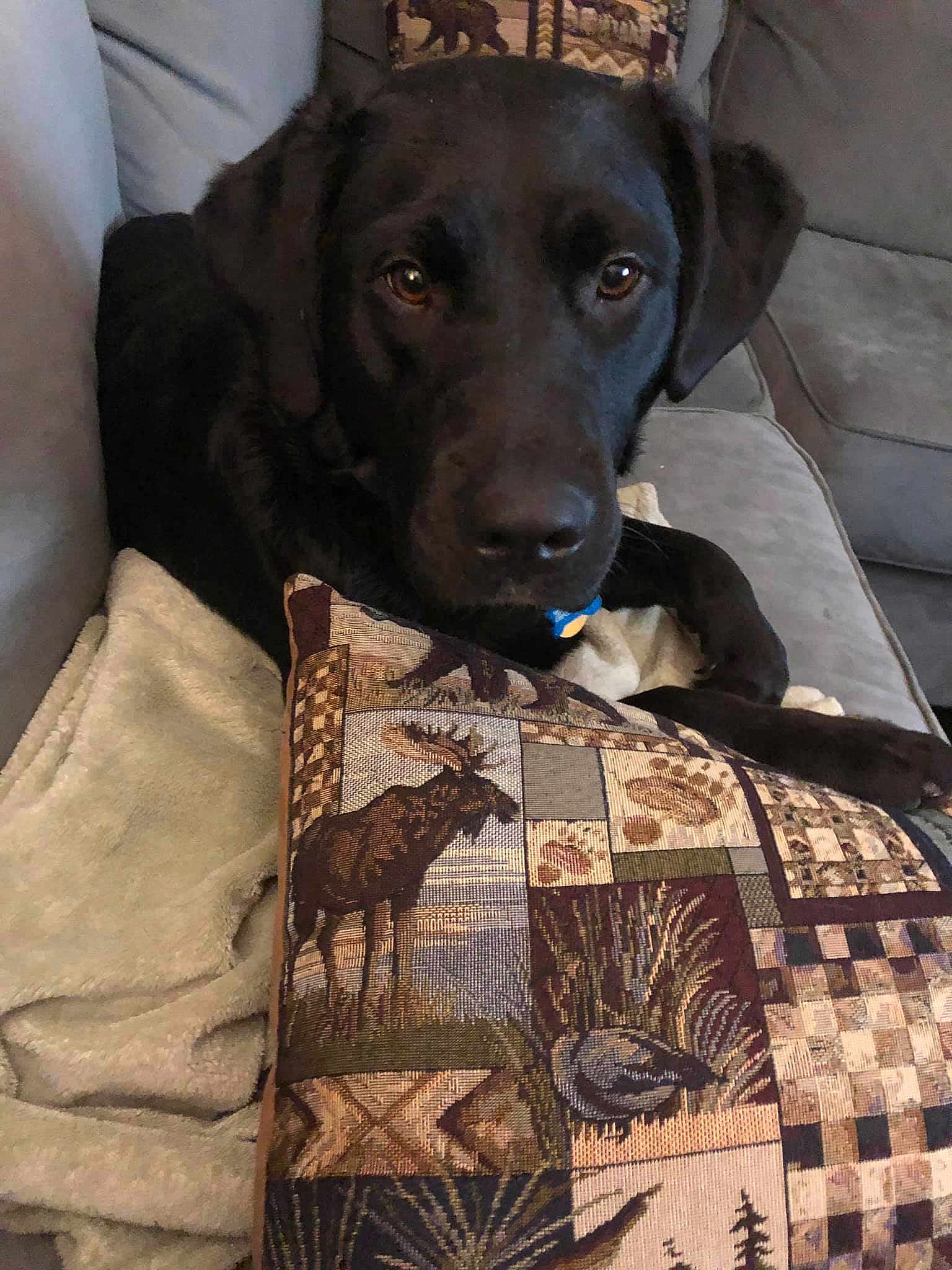 Zoey