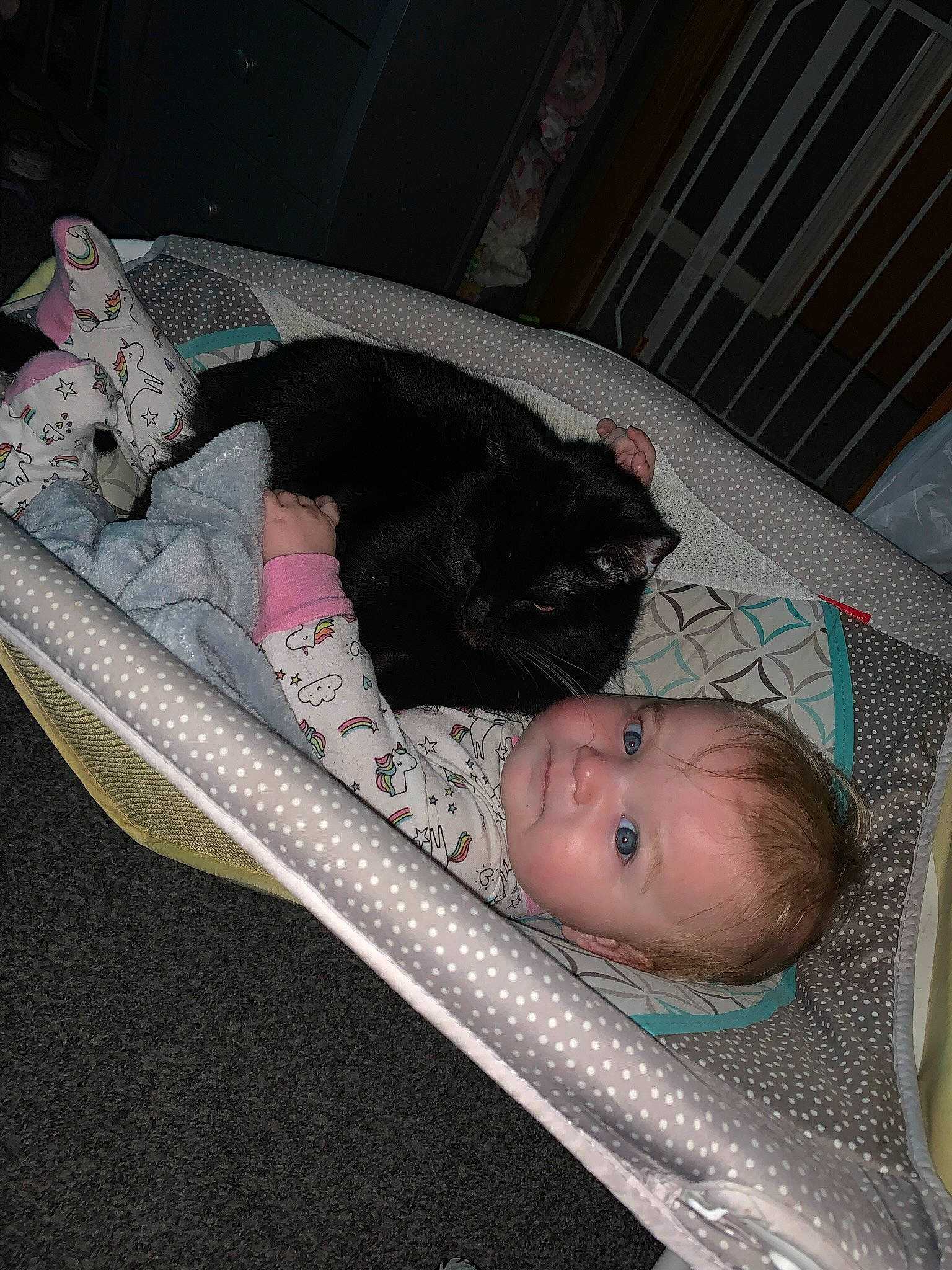 Guinevere is registered to the contest to win money with this photo: baby, baby_products, baby_toddler_clothing, bed, canidae, carnivore, cat, child, comfort, felidae, fur, infant_bed, linens, person, product, room, sitting, small_to_medium_sized_cats, sporting_group, toddler