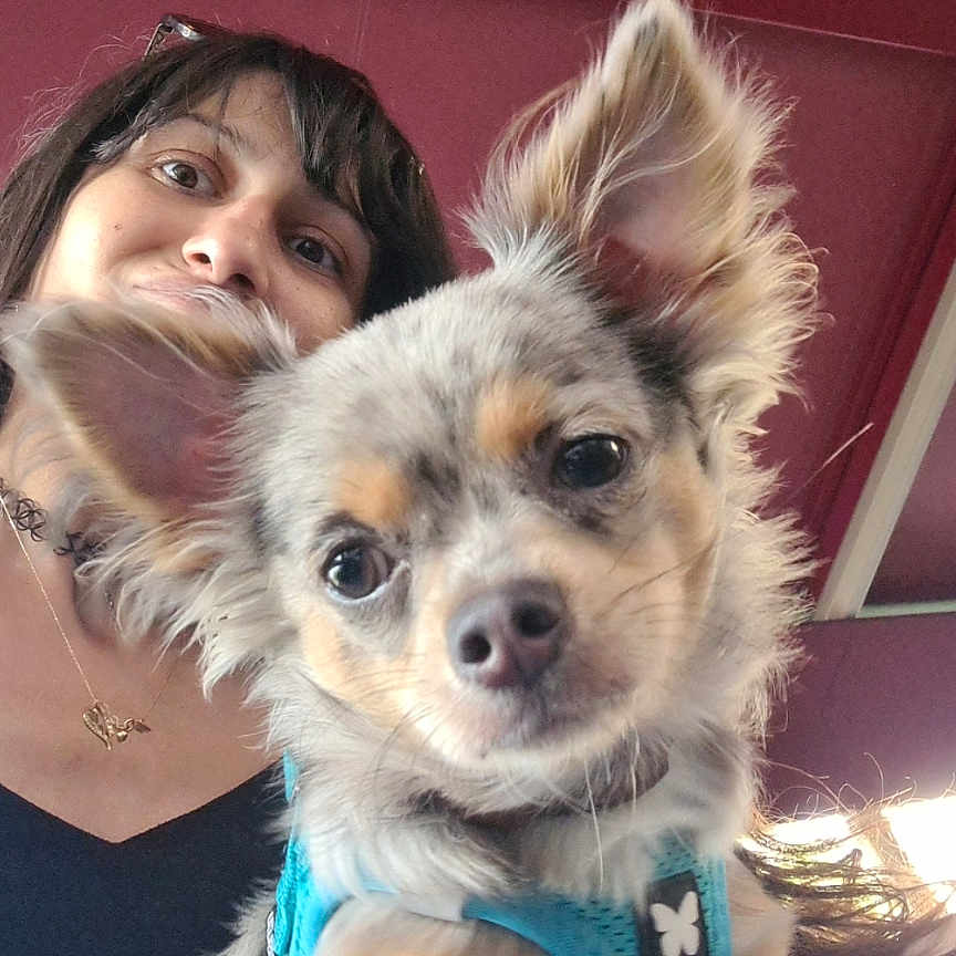 Body participe au concours pour gagner de l'argent avec cette photo : accessories, animal, baby, canine, clothing, cockerspaniel, costume, dog, face, glasses, head, jewelry, lady, necklace, person, pet, photography, portrait, puppy, selfie