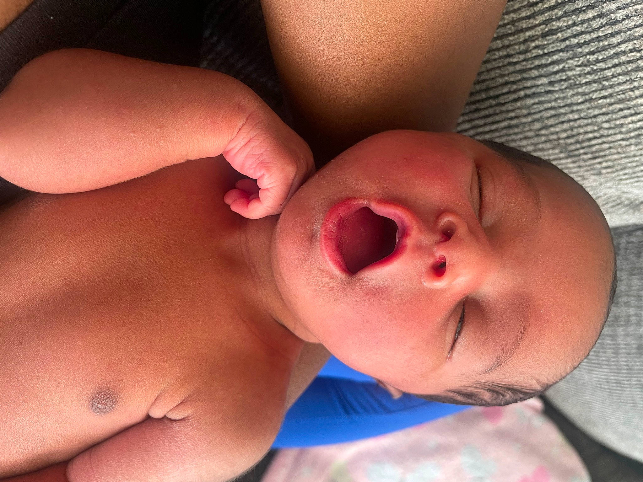 Nori joined the competition — help win amazing prizes! arm, baby, cheek, chin, ear, eye, eyebrow, eyelash, face, gesture, hand, head, human_body, lip, mouth, muscle, neck, nose, person, skin