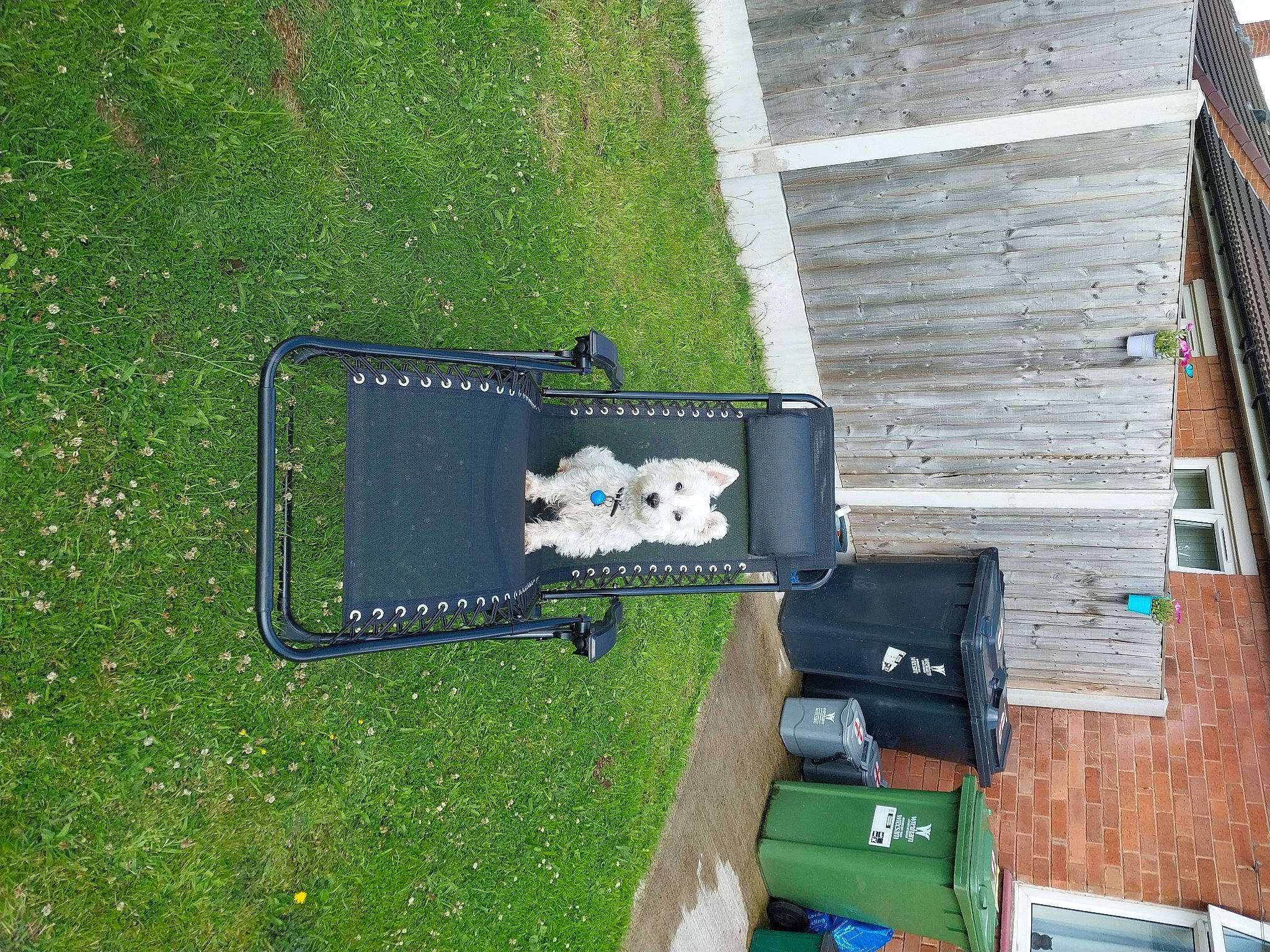 Angus is registered to the contest to win money with this photo: electric_blue, flooring, grass, grassland, green, house, landscape, leisure, motor_vehicle, plant, rectangle, shipping_box, shrub, siding, tree, urban_design, wood, yard