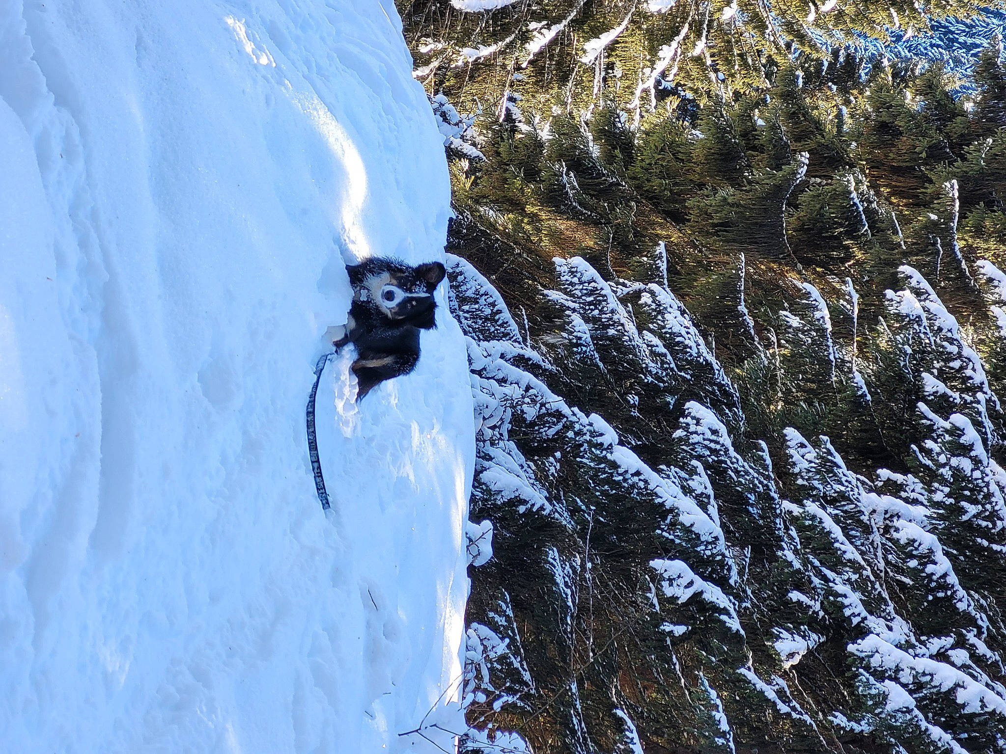 Willow participe au concours pour gagner de l'argent avec cette photo : adventure, climbing, electric_blue, formation, freezing, frost, geological_phenomenon, glacial_landform, ice_cap, massif, mountain, mountain_range, mountaineer, nunatak, recreation, rock_climbing_equipment, slope, snow, sport_climbing, winter