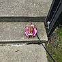 Hazel Carmichael is registered to the contest to win money with this photo: dog, puppy, pink_clothing, leash, concrete, steps, outdoor, grass, railing, small_dog, pet, animal, cute, looking_up, sidewalk, walk, wearing_clothes, brown_dog, curious, tiny
