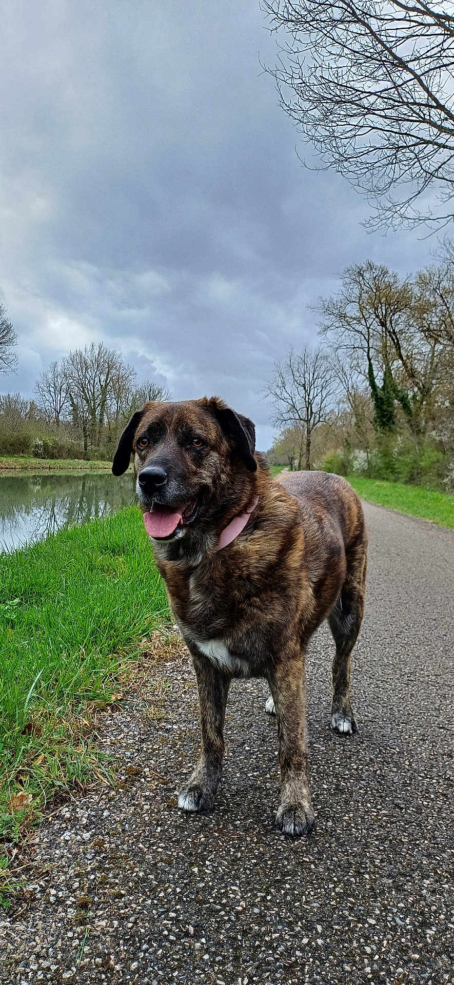 Alba
