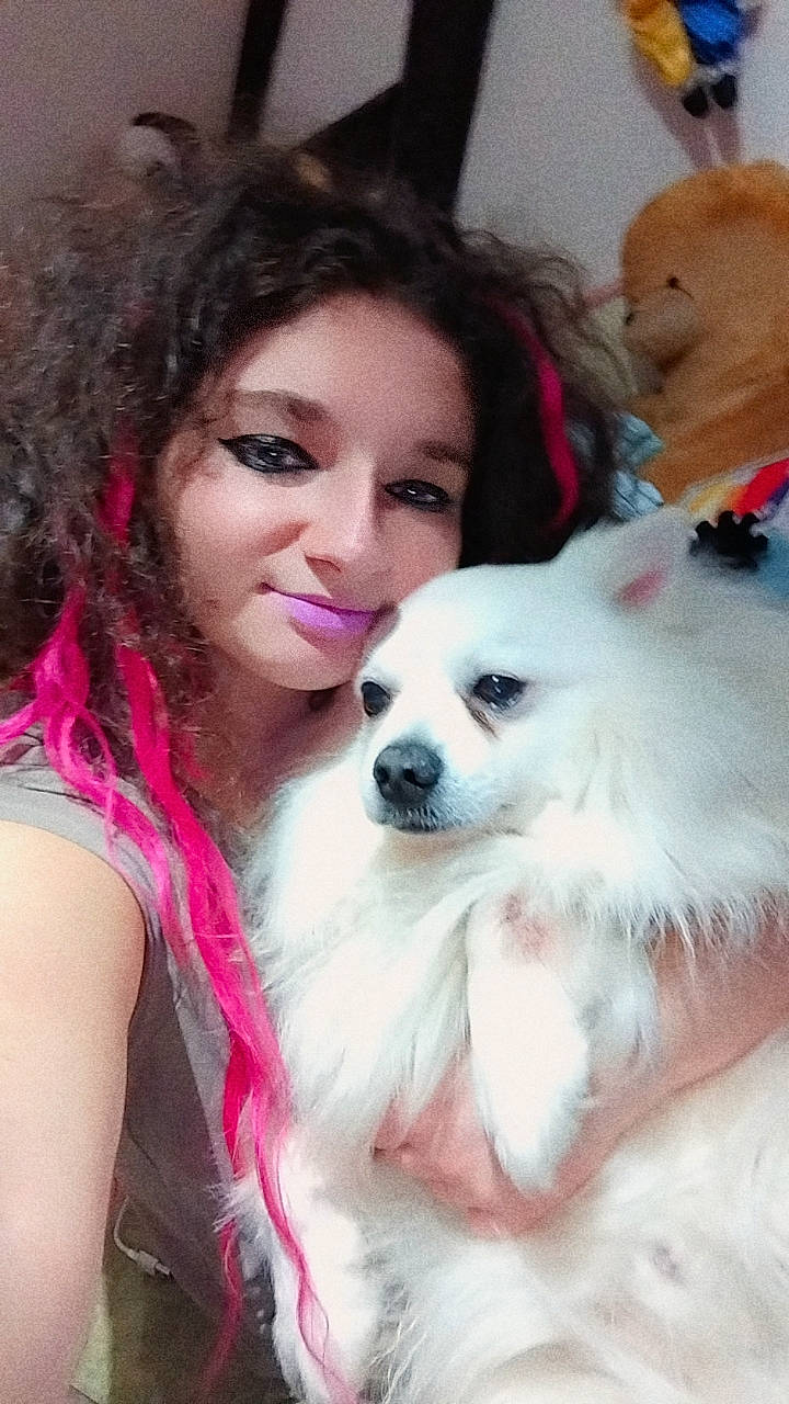 Hulysse a rejoint le concours — aidez-le/la à gagner de superbes lots ! carnivore, companion_dog, dog, dog_breed, dog_supply, ear, eyelash, facial_expression, fawn, fun, fur, happy, indian_spitz, nose, pink, plant, skin, smile, spitz, volpino_italiano