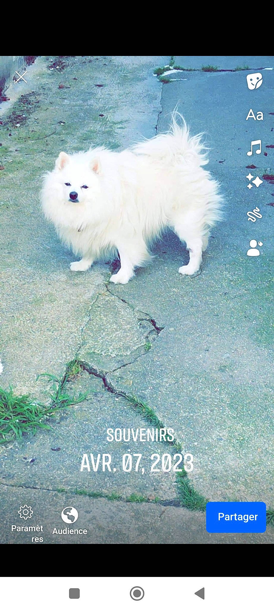 Hulysse