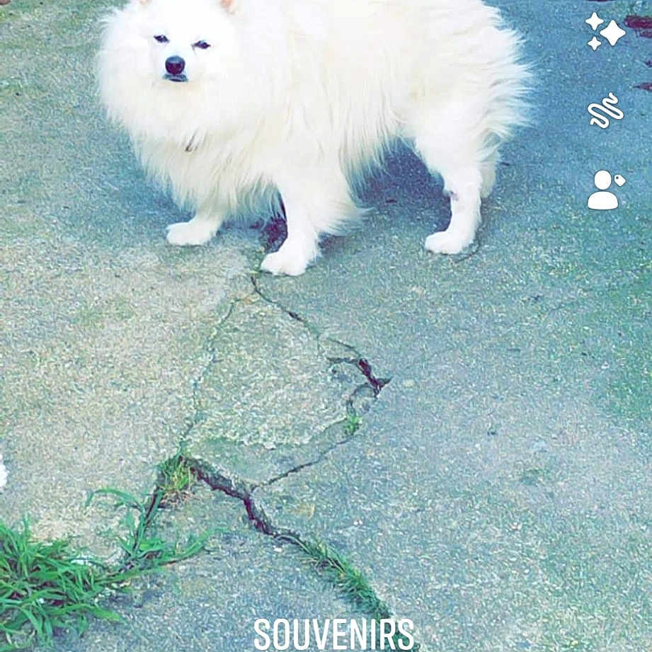 Hulysse