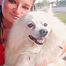 animal, braided_hair, casual, closeup, daylight, dog, face, fluffy_dog, friendship, grass, happy, nature, outdoor, pet, portrait, road, smiling, tree, white_dog, woman
