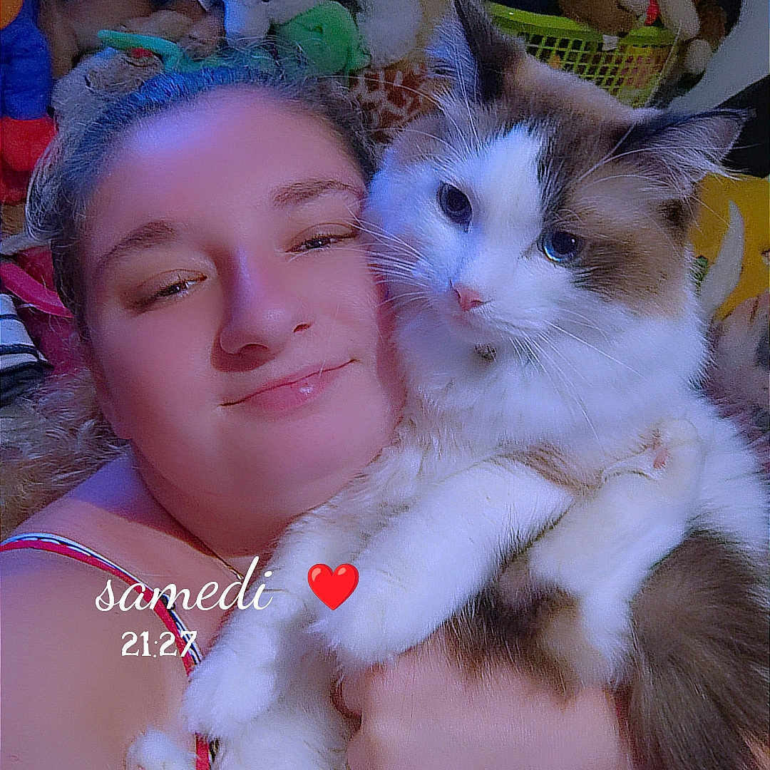 Azur a rejoint le concours — aidez-le/la à gagner de superbes lots ! person, cat, stuffed_animals, selfie, hugging, indoor, smiling, plush_toys, red_clothing, face, pet, feline, cozy, cute, long_hair, relaxed, close_up, home, comfort, affection