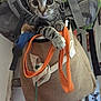 kitten, cat, burlap_bag, ladder, indoor, curious, tabby, pet, animal, feline, rope, colorful, handle, climbing, whiskers, ears, eyes, paws, cozy, domestic