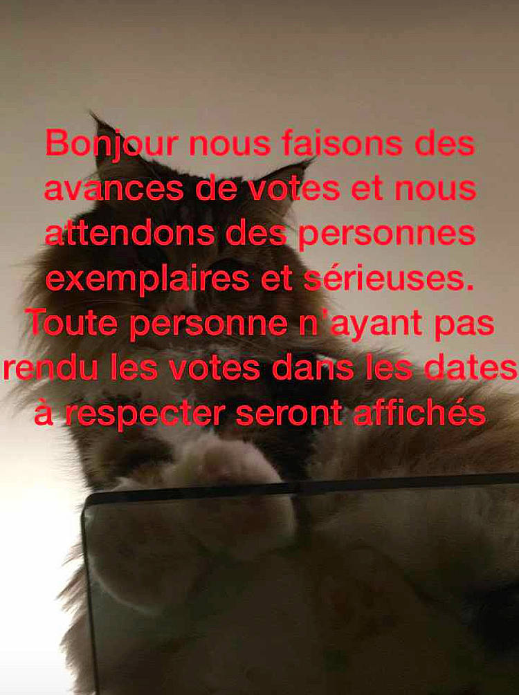 Jule a rejoint le concours — aidez-le/la à gagner de superbes lots ! art, book_cover, chair, darkness, fictional_character, font, gesture, graphic_design, graphics, happy, human_leg, illustration, morning, photo_caption, publication, room, shadow, thumb, tints_and_shades