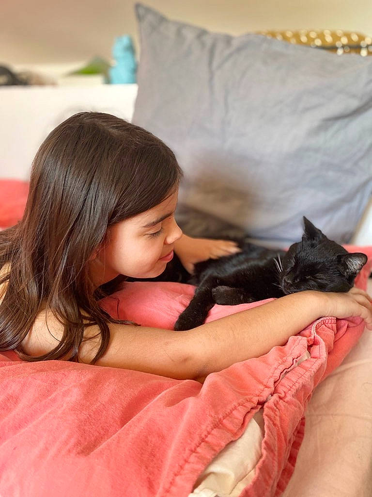 Jack a rejoint le concours — aidez-le/la à gagner de superbes lots ! bed, bedding, bedroom, black_hair, carnivore, cat, comfort, couch, eyelash, felidae, happy, linens, long_hair, mammal, pillow, shoulder, skin, small_to_medium_sized_cats, textile, toddler