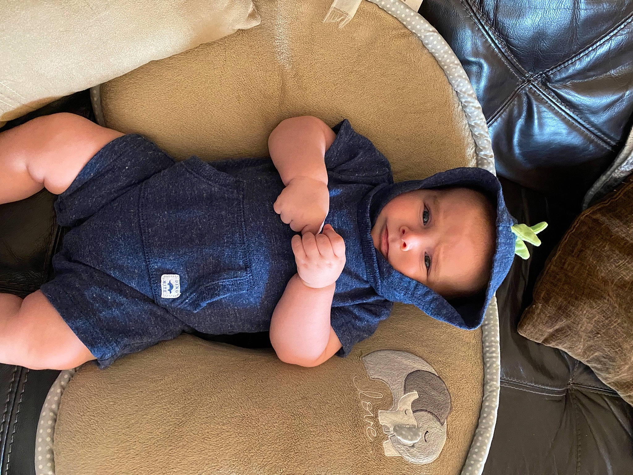 Deacon is registered to the contest to win money with this photo: baby, baby_toddler_clothing, child, comfort, finger, head, human, human_body, human_leg, joint, knee, leg, organ, people, person, product, skin, thigh, toddler, trunk
