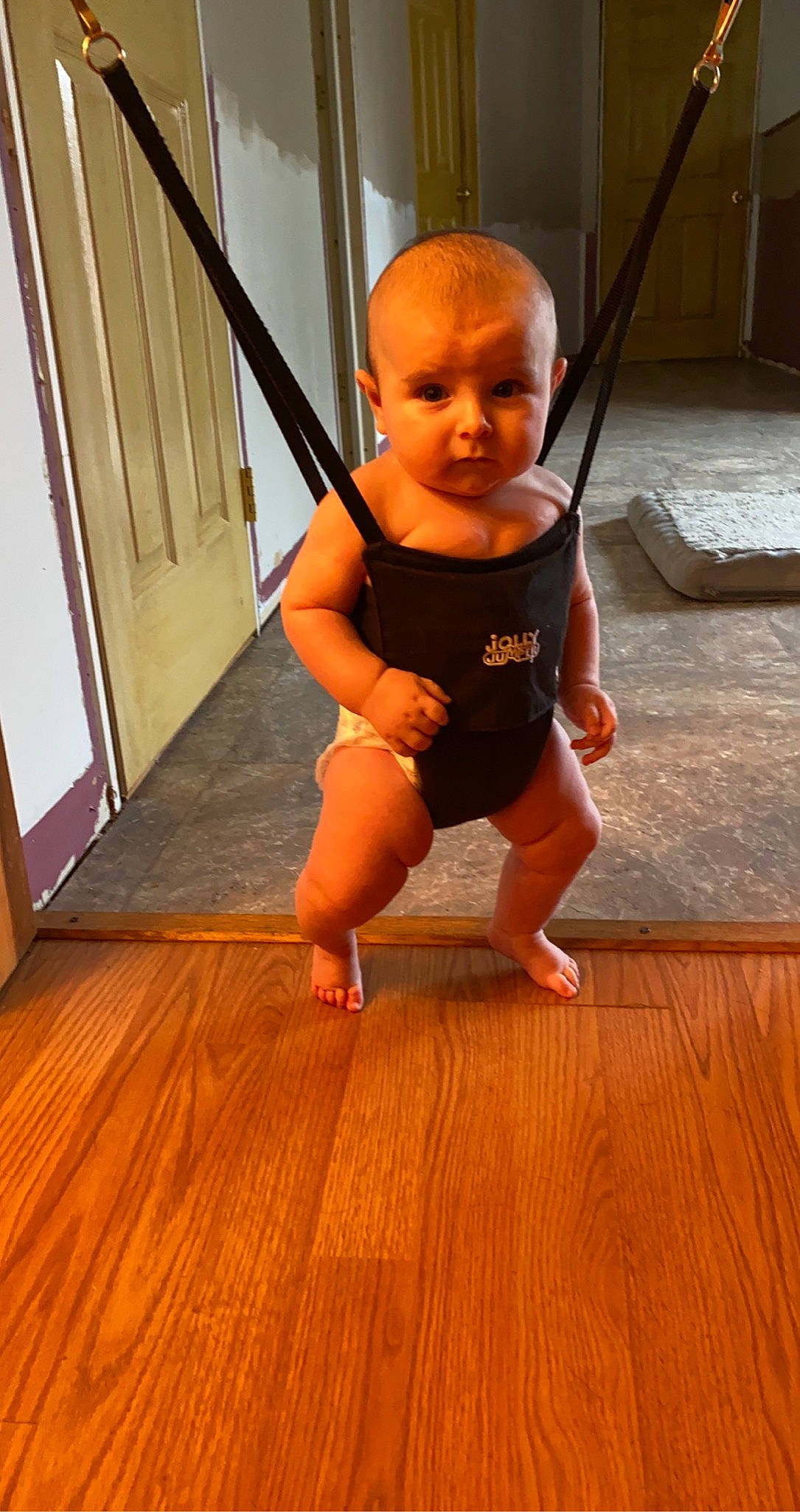 Deacon is registered to the contest to win money with this photo: baby, baby_toddler_clothing, balance, barefoot, cleanliness, floor, flooring, foot, hardwood, human_leg, laminate_flooring, person, plank, thigh, thumb, toddler, varnish, wood, wood_flooring, wood_stain