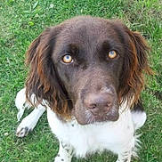 Hypsie a rejoint le concours — aidez-le/la à gagner de superbes lots !